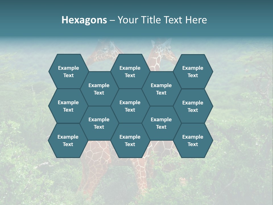 Two Giraffes Standing In The Middle Of A Forest PowerPoint Template