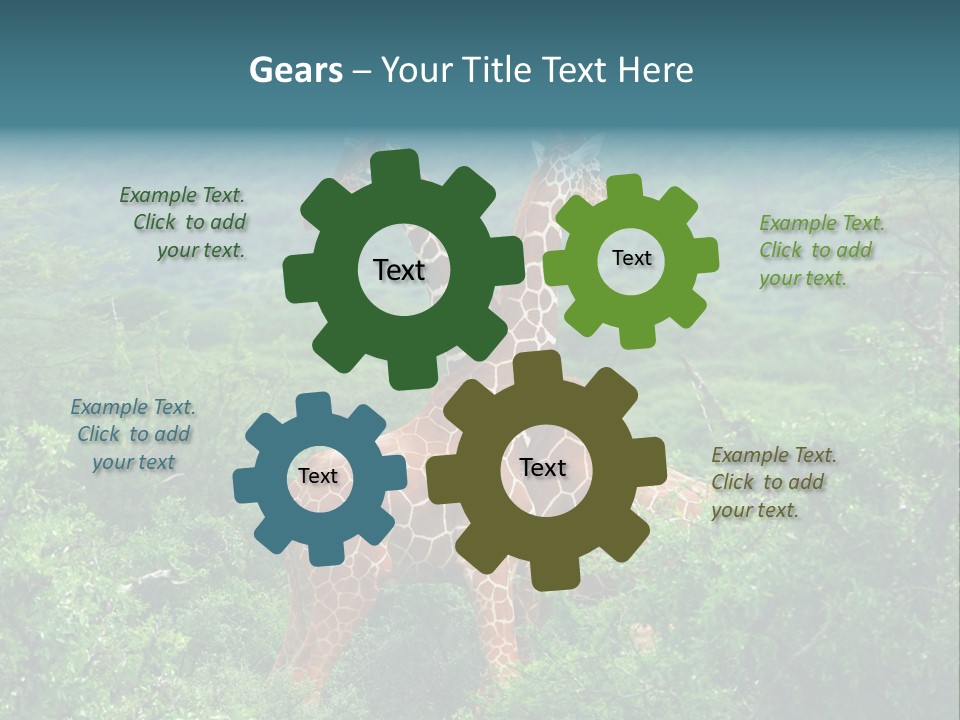 Two Giraffes Standing In The Middle Of A Forest PowerPoint Template