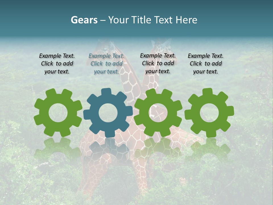 Two Giraffes Standing In The Middle Of A Forest PowerPoint Template