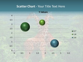 Two Giraffes Standing In The Middle Of A Forest PowerPoint Template