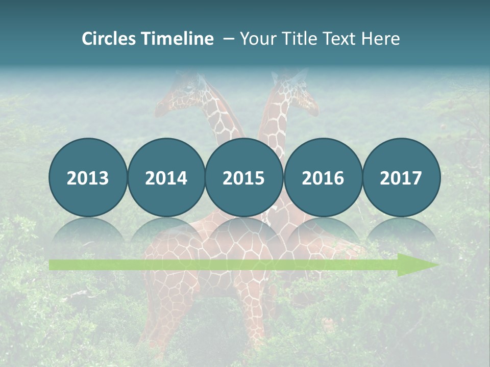 Two Giraffes Standing In The Middle Of A Forest PowerPoint Template