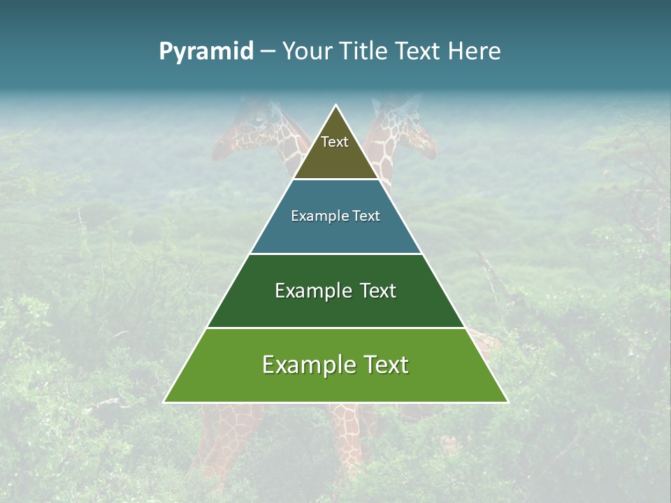 Two Giraffes Standing In The Middle Of A Forest PowerPoint Template