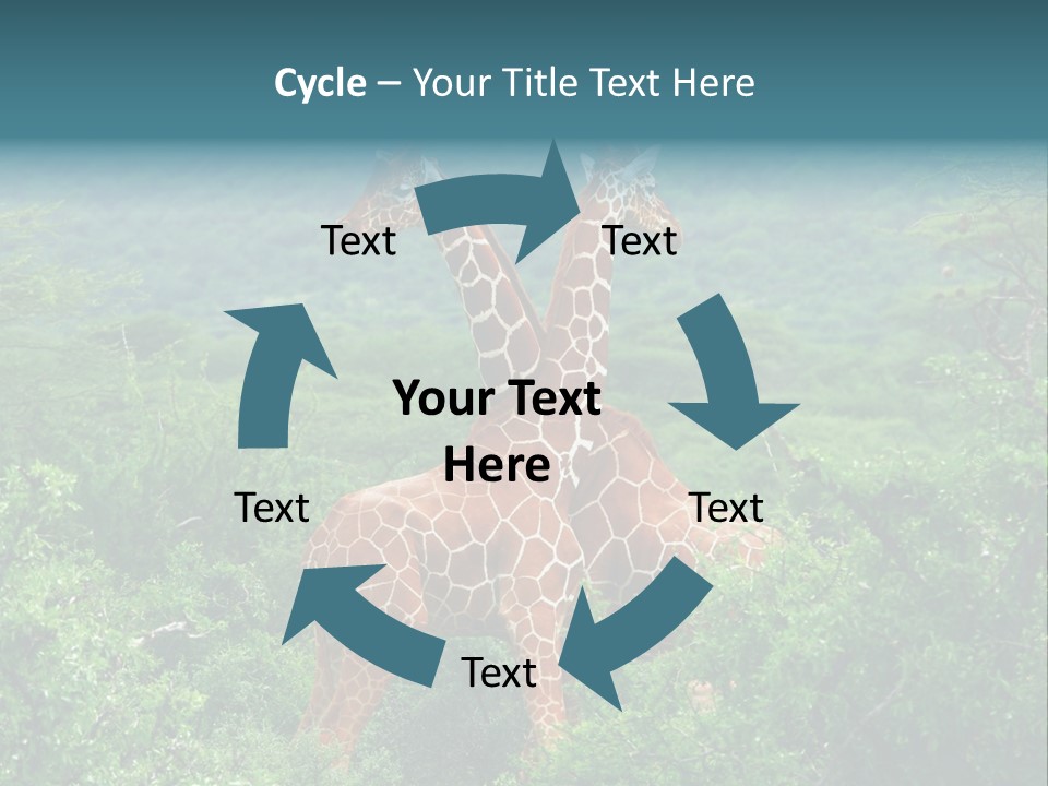 Two Giraffes Standing In The Middle Of A Forest PowerPoint Template