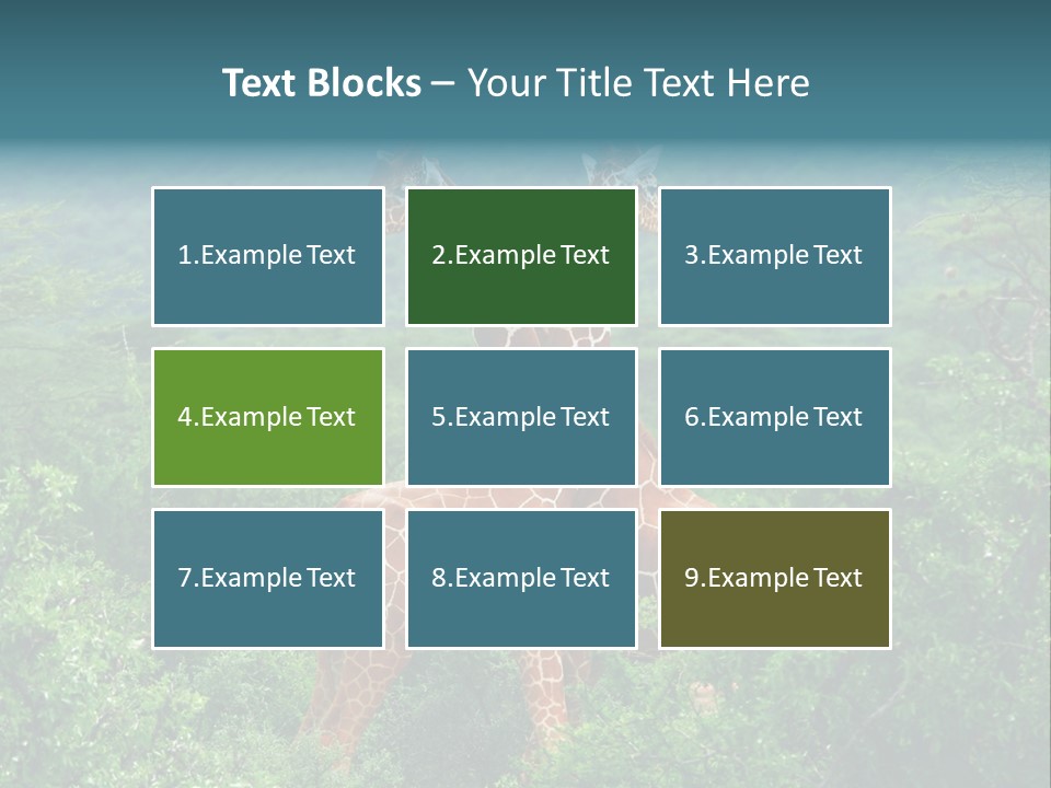 Two Giraffes Standing In The Middle Of A Forest PowerPoint Template