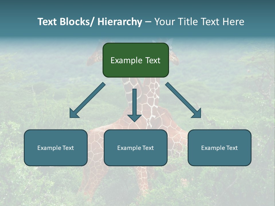 Two Giraffes Standing In The Middle Of A Forest PowerPoint Template