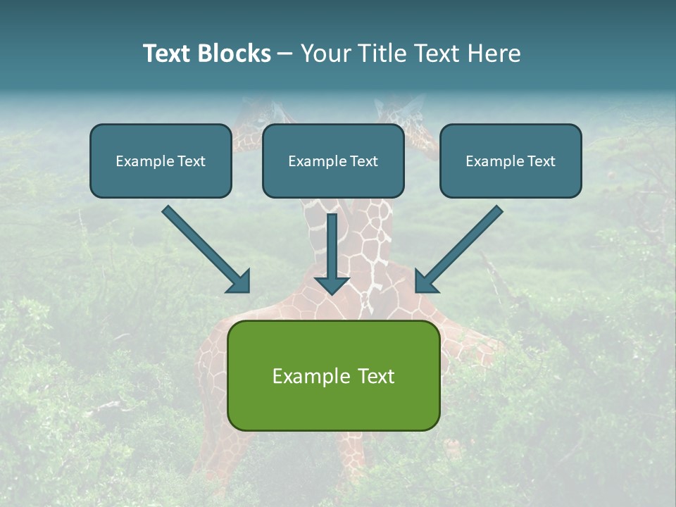 Two Giraffes Standing In The Middle Of A Forest PowerPoint Template