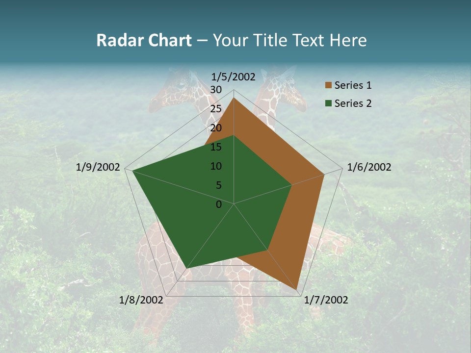 Two Giraffes Standing In The Middle Of A Forest PowerPoint Template