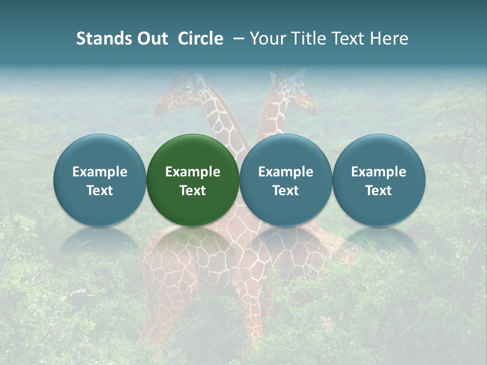 Two Giraffes Standing In The Middle Of A Forest PowerPoint Template