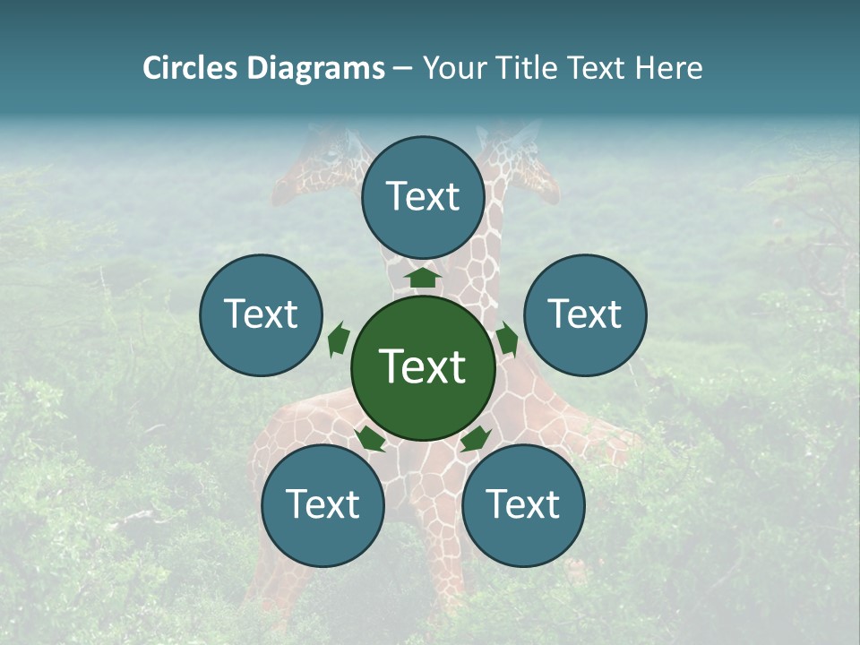 Two Giraffes Standing In The Middle Of A Forest PowerPoint Template