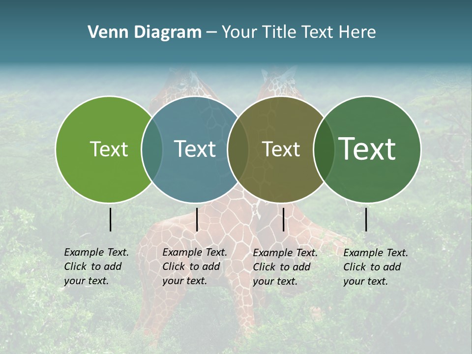 Two Giraffes Standing In The Middle Of A Forest PowerPoint Template