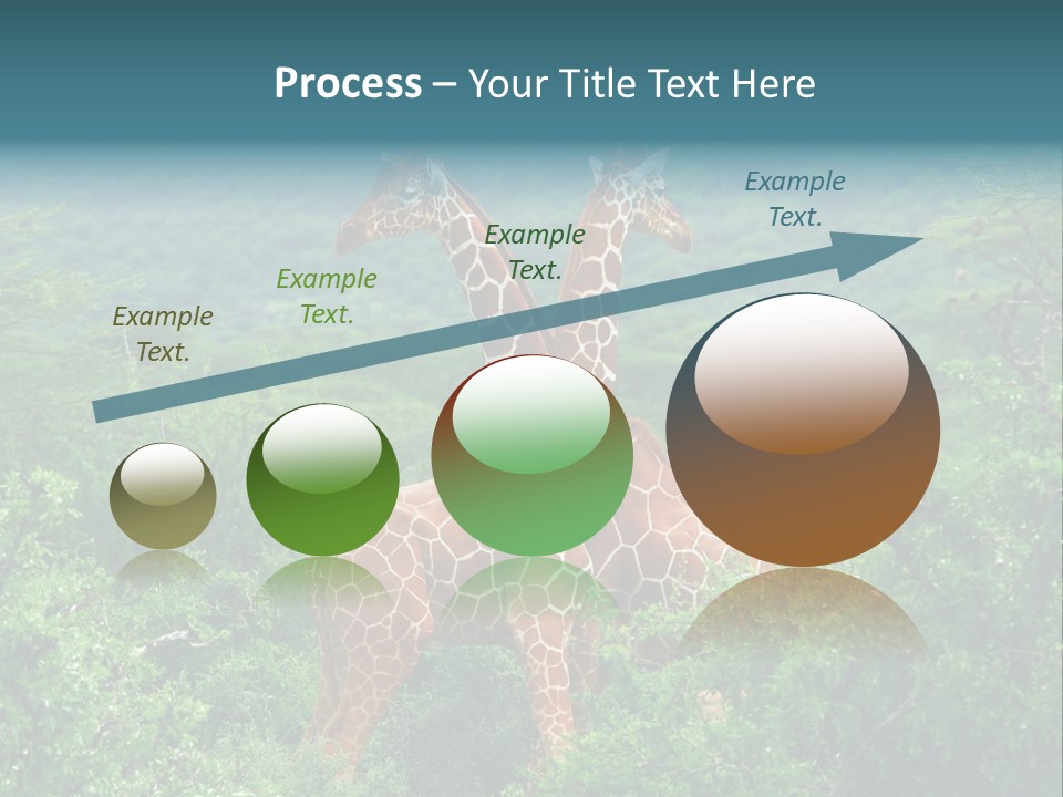Two Giraffes Standing In The Middle Of A Forest PowerPoint Template
