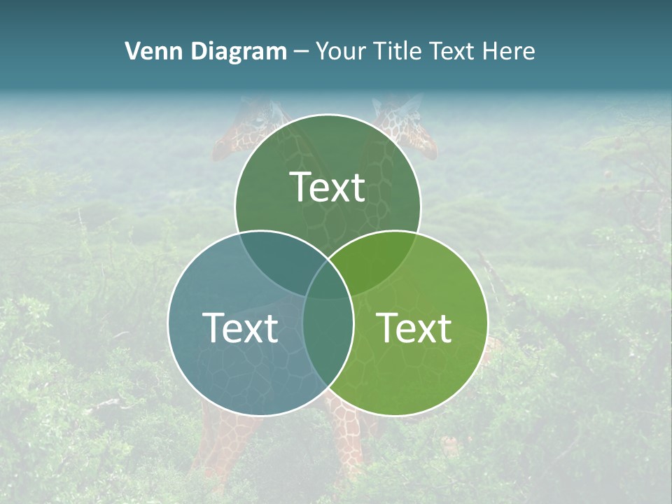Two Giraffes Standing In The Middle Of A Forest PowerPoint Template