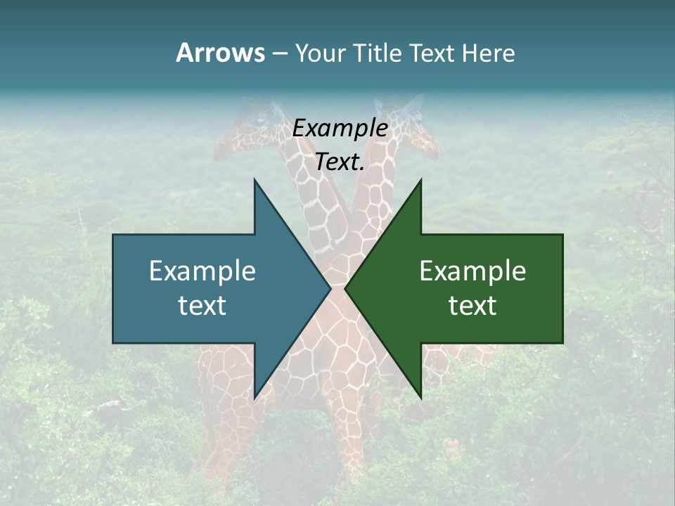 Two Giraffes Standing In The Middle Of A Forest PowerPoint Template