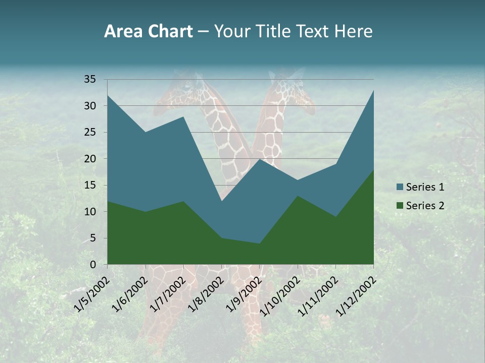 Two Giraffes Standing In The Middle Of A Forest PowerPoint Template