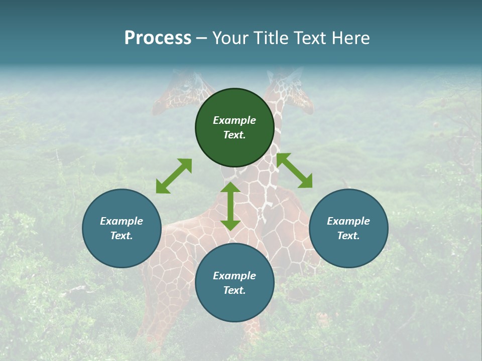 Two Giraffes Standing In The Middle Of A Forest PowerPoint Template