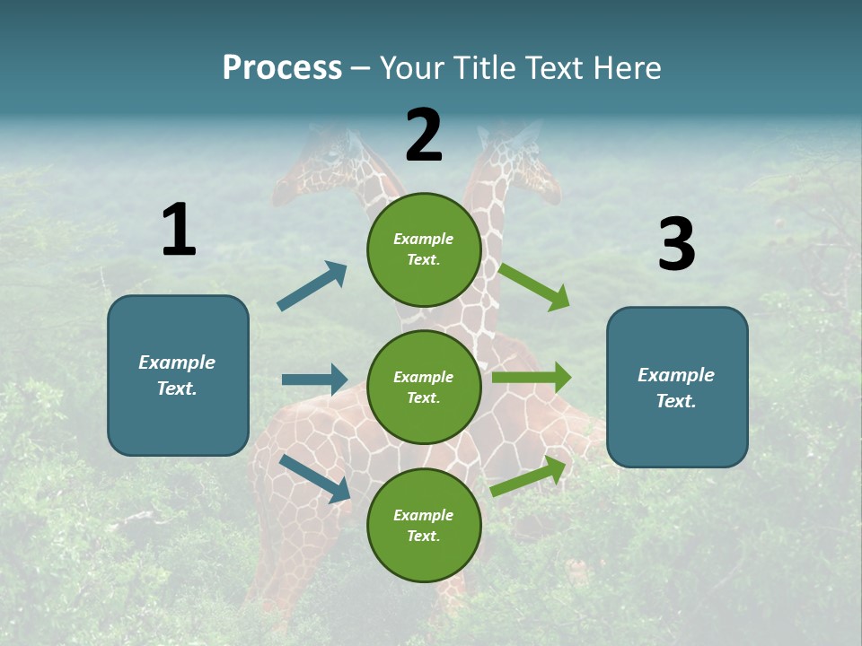 Two Giraffes Standing In The Middle Of A Forest PowerPoint Template