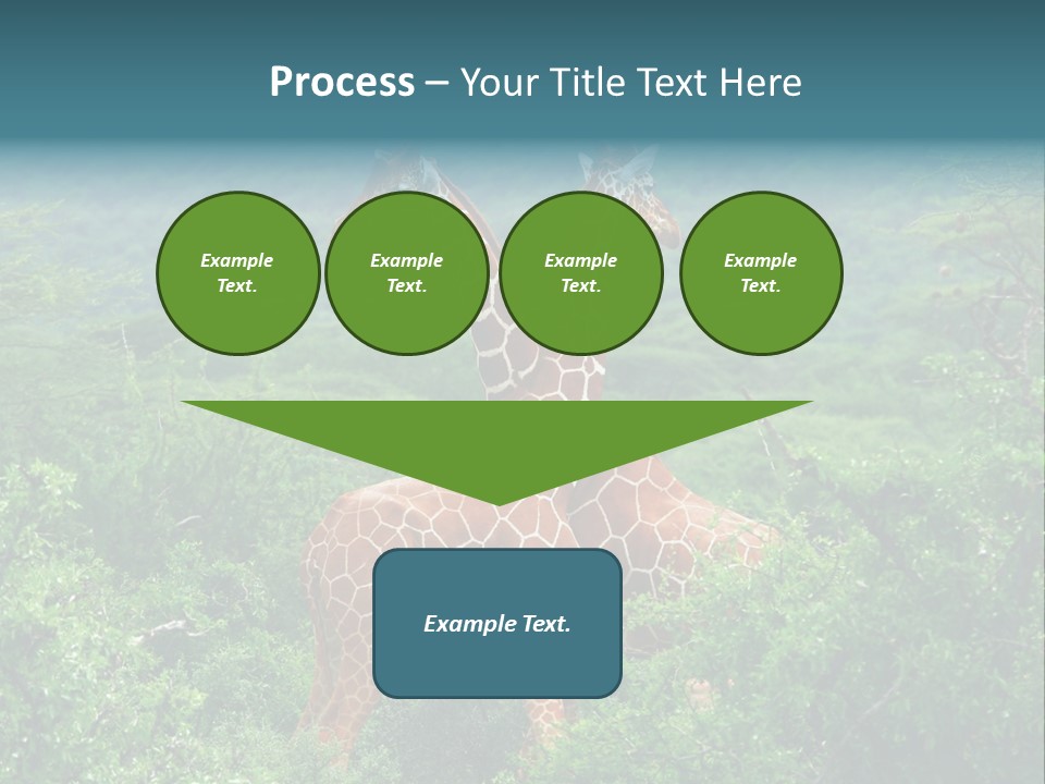 Two Giraffes Standing In The Middle Of A Forest PowerPoint Template