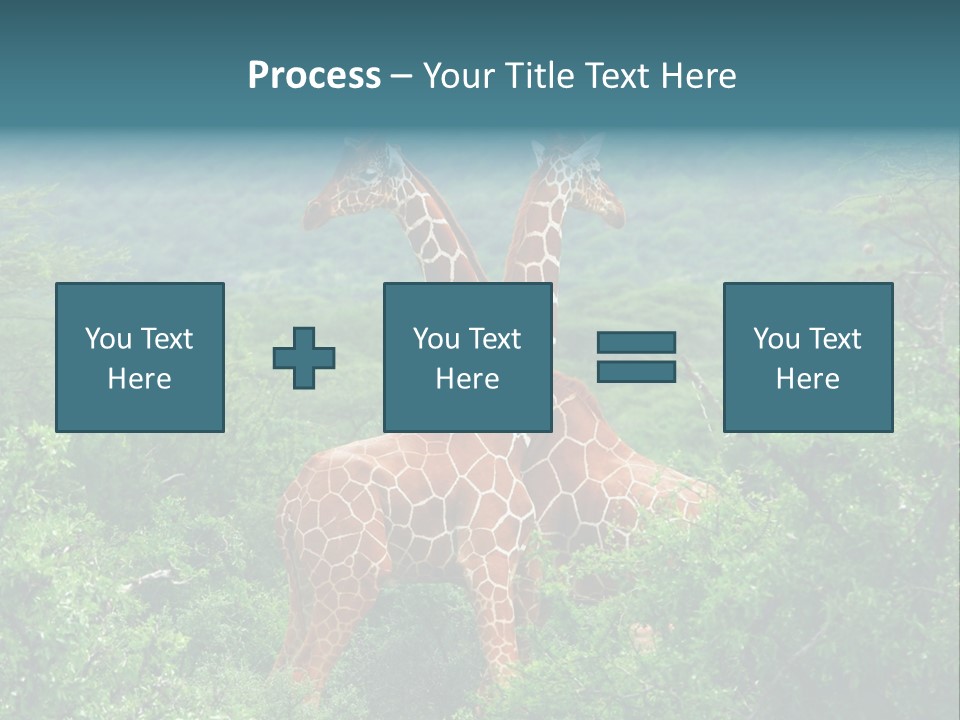 Two Giraffes Standing In The Middle Of A Forest PowerPoint Template