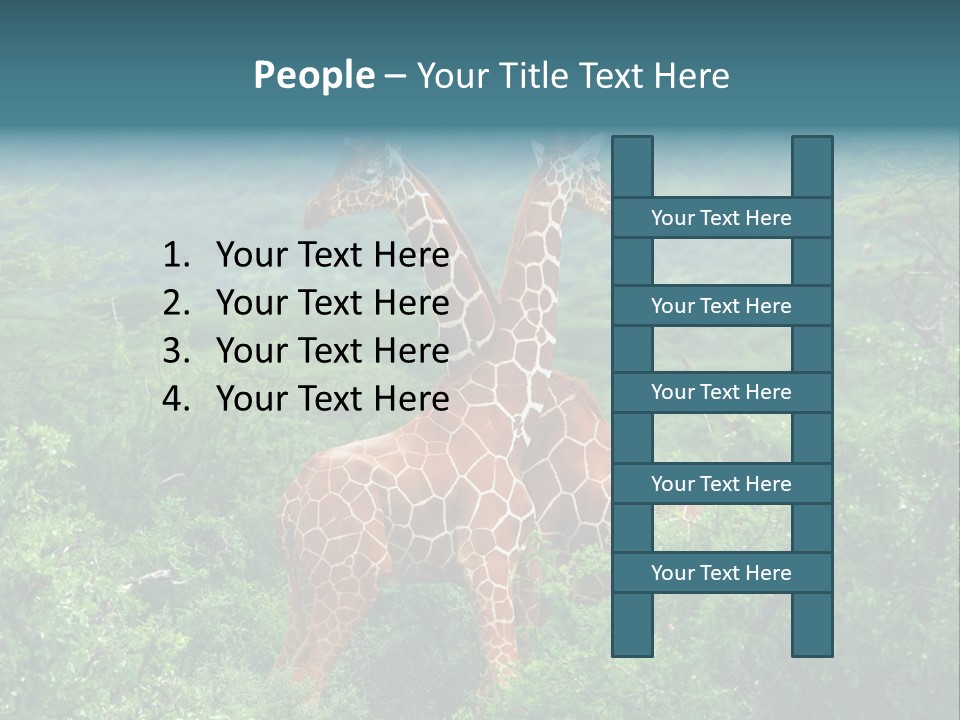 Two Giraffes Standing In The Middle Of A Forest PowerPoint Template