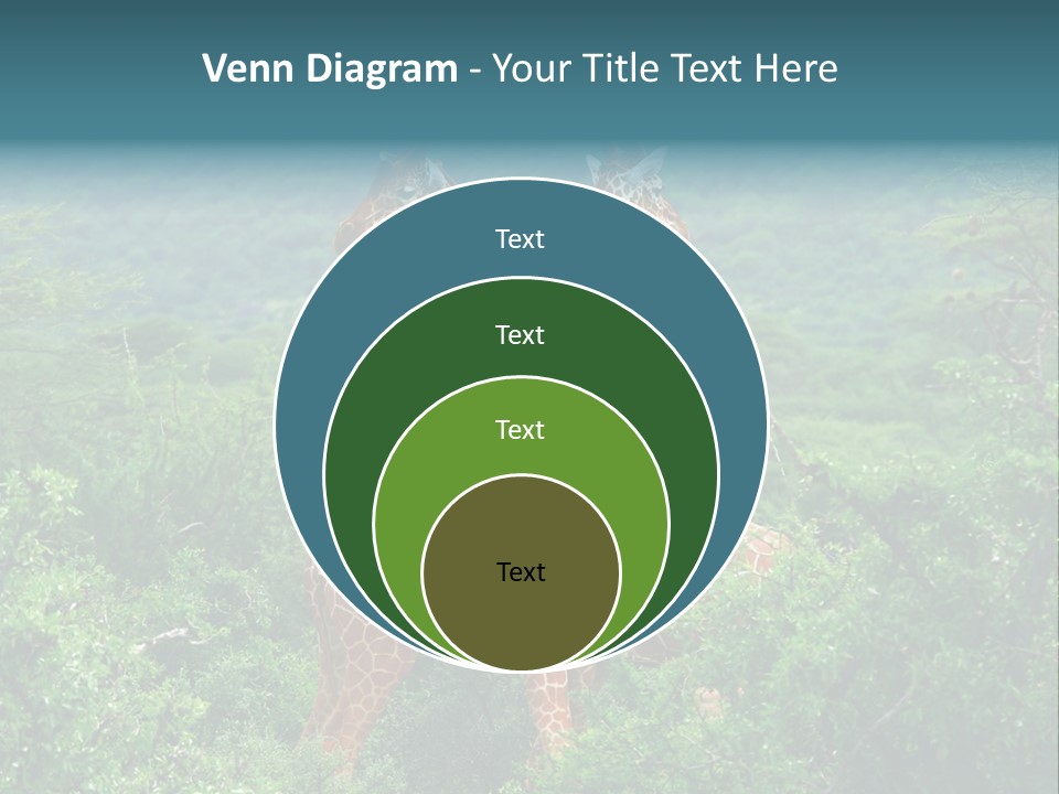 Two Giraffes Standing In The Middle Of A Forest PowerPoint Template