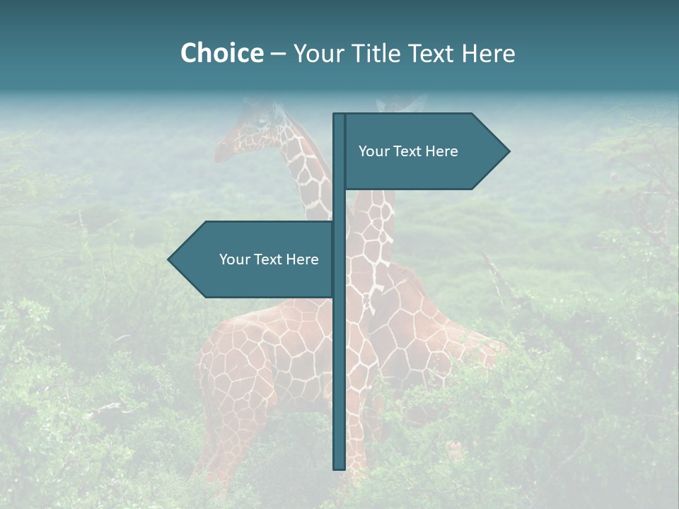 Two Giraffes Standing In The Middle Of A Forest PowerPoint Template