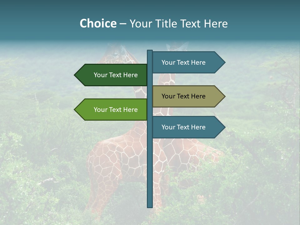 Two Giraffes Standing In The Middle Of A Forest PowerPoint Template