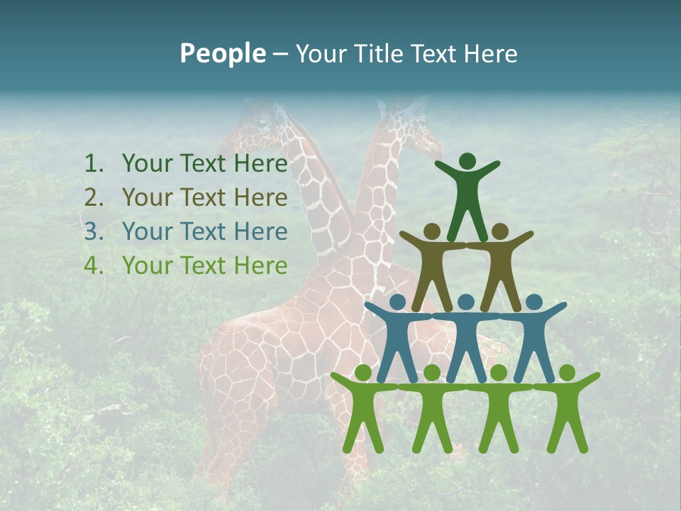 Two Giraffes Standing In The Middle Of A Forest PowerPoint Template