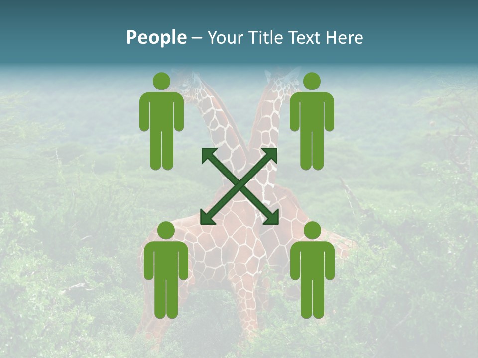 Two Giraffes Standing In The Middle Of A Forest PowerPoint Template