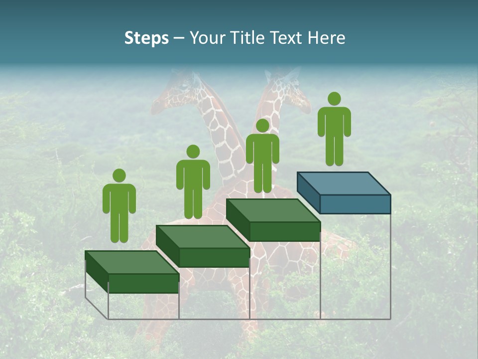 Two Giraffes Standing In The Middle Of A Forest PowerPoint Template