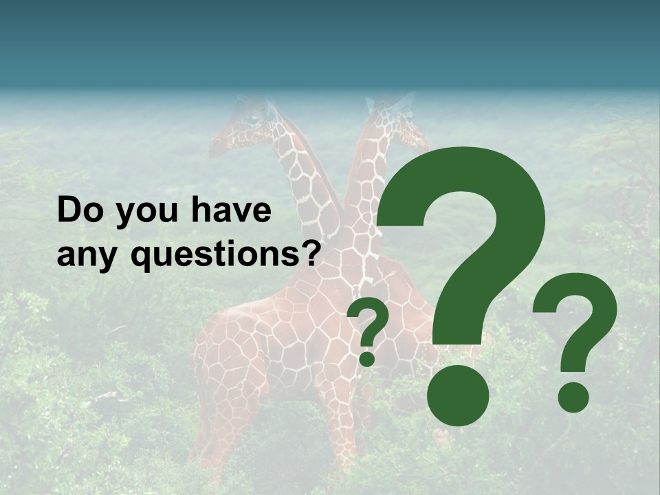 Two Giraffes Standing In The Middle Of A Forest PowerPoint Template