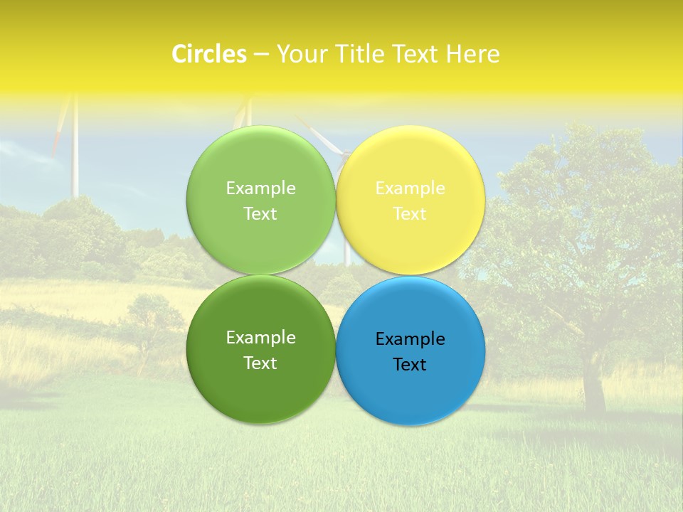 Daylily Affectionate Studio PowerPoint Template