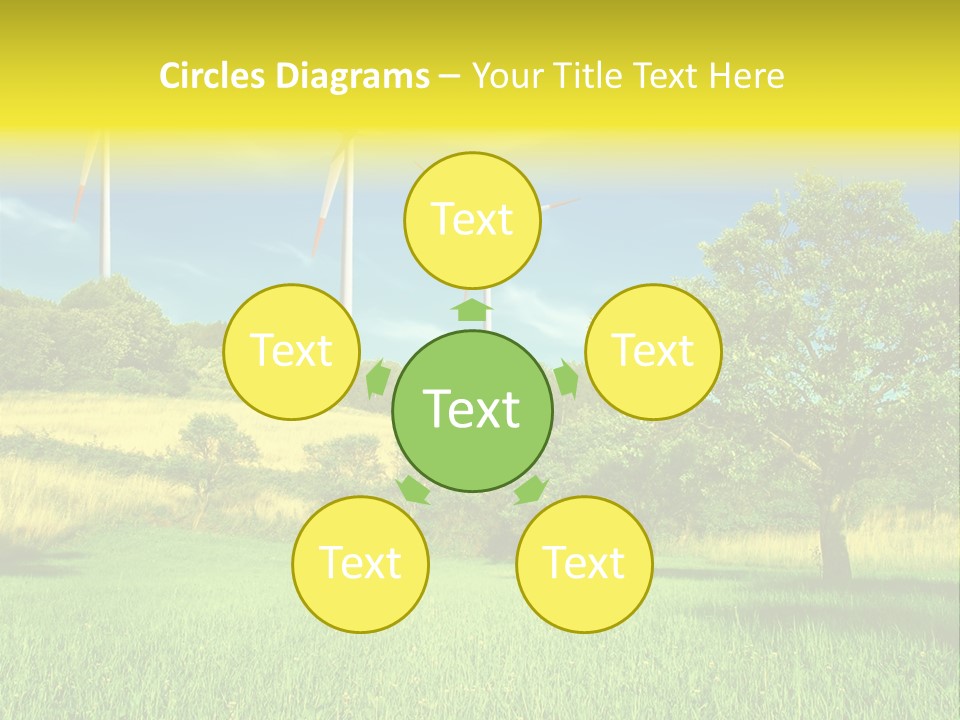 Daylily Affectionate Studio PowerPoint Template