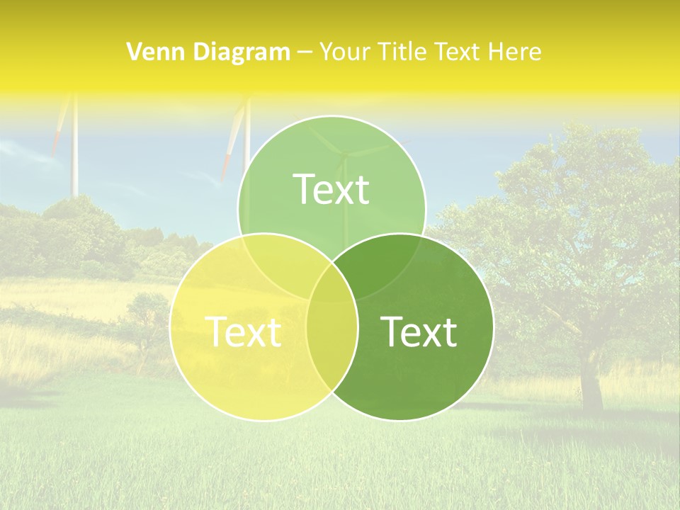 Daylily Affectionate Studio PowerPoint Template