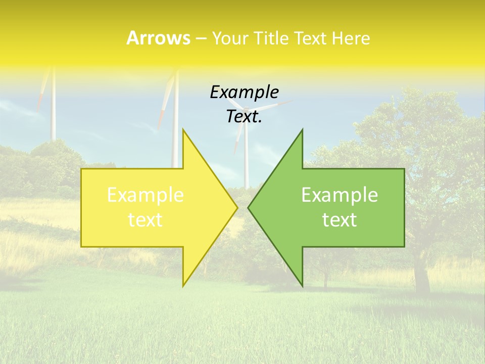 Daylily Affectionate Studio PowerPoint Template