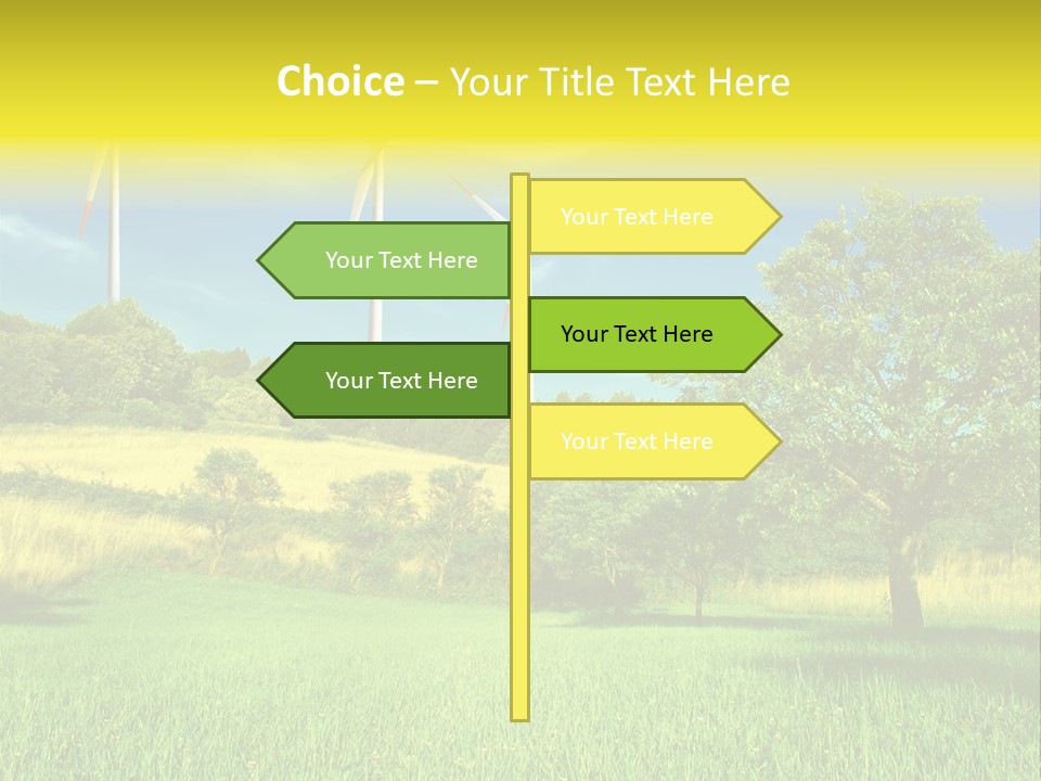 Daylily Affectionate Studio PowerPoint Template