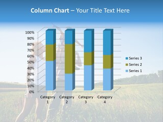 Person Park Male PowerPoint Template