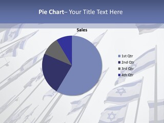 Demonstration State Rally PowerPoint Template