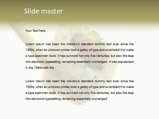 Healthcare Tuna Sticks PowerPoint Template