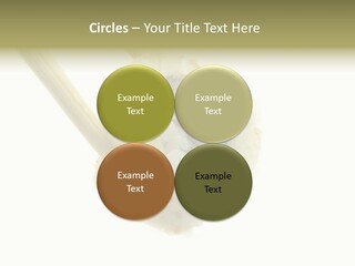 Healthcare Tuna Sticks PowerPoint Template