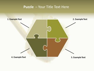 Healthcare Tuna Sticks PowerPoint Template