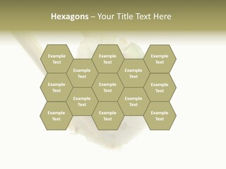 Healthcare Tuna Sticks PowerPoint Template