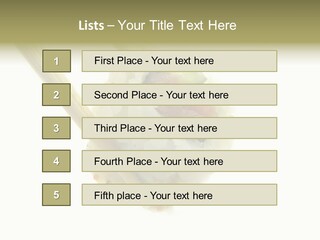 Healthcare Tuna Sticks PowerPoint Template