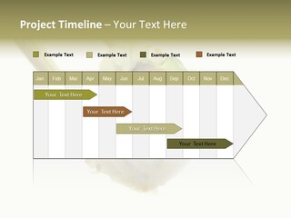 Healthcare Tuna Sticks PowerPoint Template