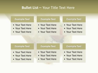 Healthcare Tuna Sticks PowerPoint Template