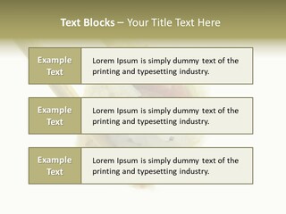 Healthcare Tuna Sticks PowerPoint Template