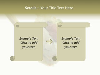 Healthcare Tuna Sticks PowerPoint Template