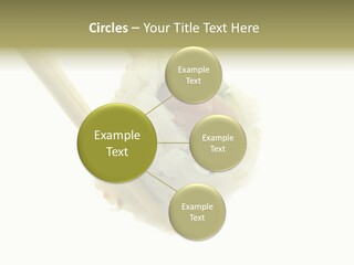 Healthcare Tuna Sticks PowerPoint Template