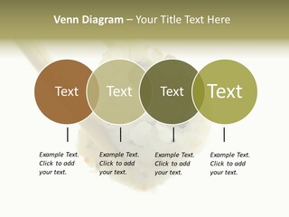 Healthcare Tuna Sticks PowerPoint Template