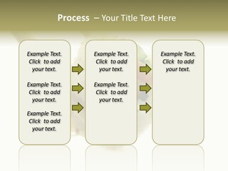 Healthcare Tuna Sticks PowerPoint Template