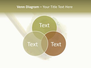 Healthcare Tuna Sticks PowerPoint Template